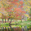 Autumn Reflections